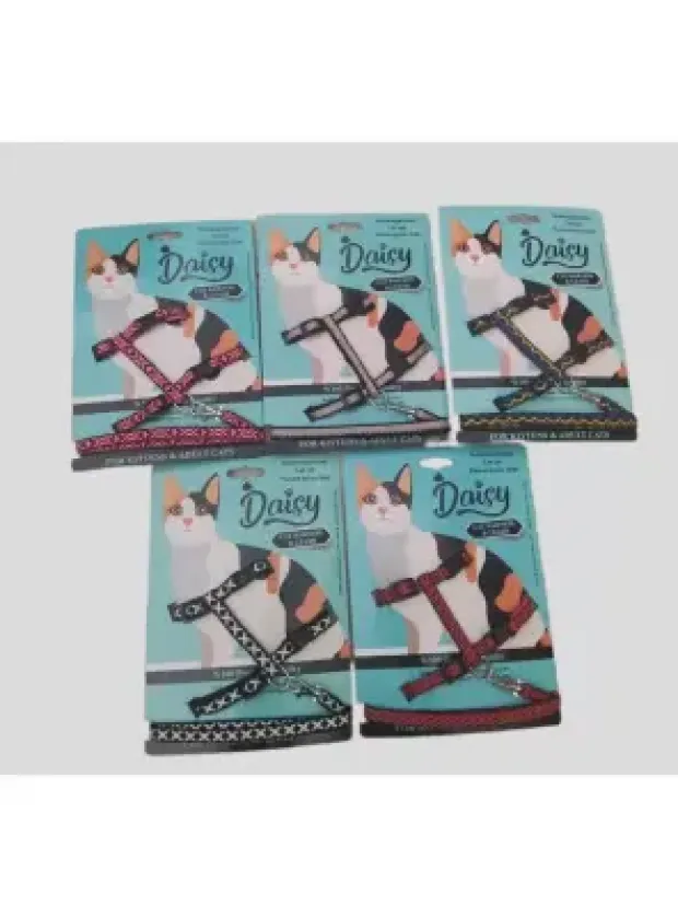 Daisy Kedi Takım Bel Tasması