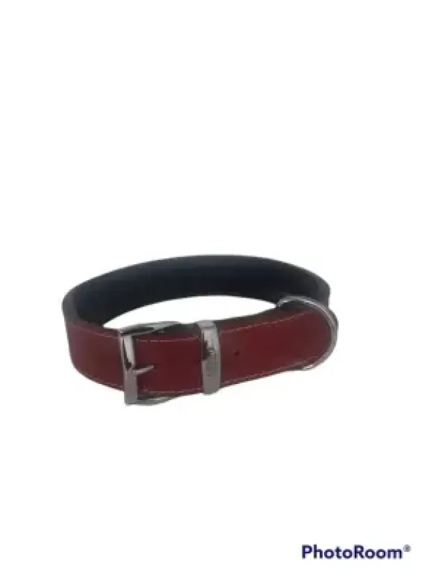 Daisy Klasik Deri Köpek Tasması XL-4cm Kırmızı