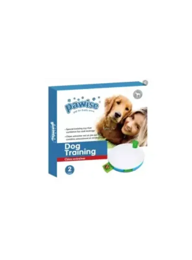 Pawise Spinning Dog Training Ve İnteraktif Oyuncak