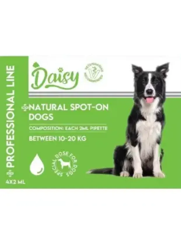 Daisy Köpek Ense Damlası (10-20 kg)  4*2 ml