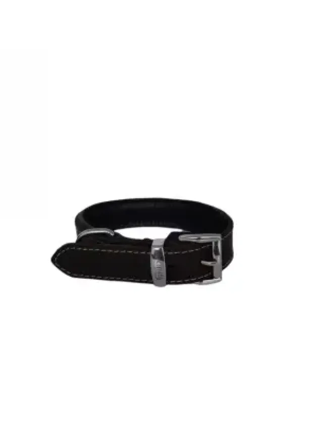 Daisy Yağlı Deri Köpek Tasması XL-4cm Kahve
