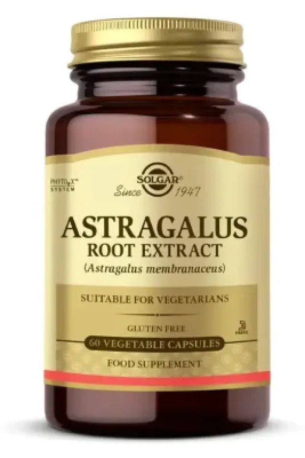 Solgar Astragalus Root Extract 60 Kapsül