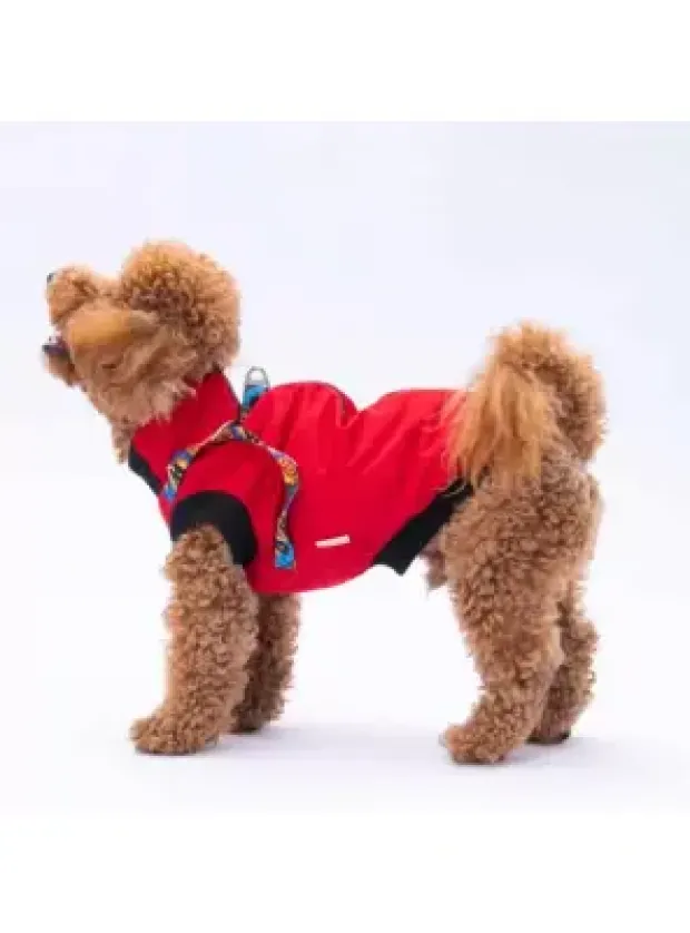 Paw Star 24104 Kırmızı Nuuk Yelek