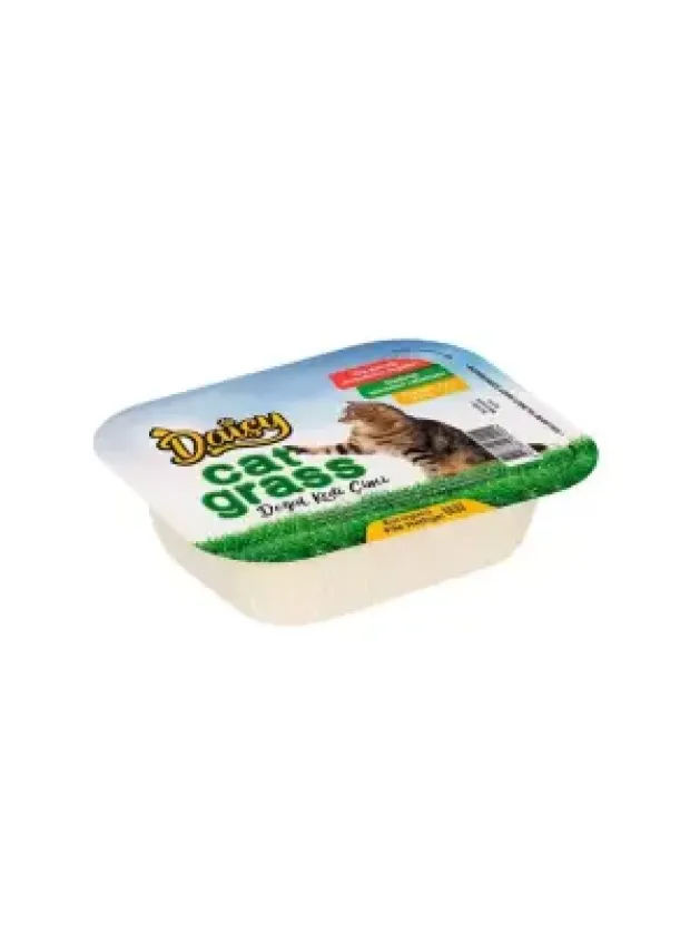 Daisy Natural Kedi Çimi File Hediyeli !