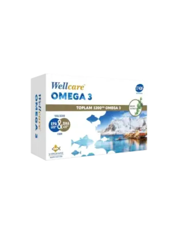 Wellcare Omega 3 1200mg Balık Yağı 30 Kapsül