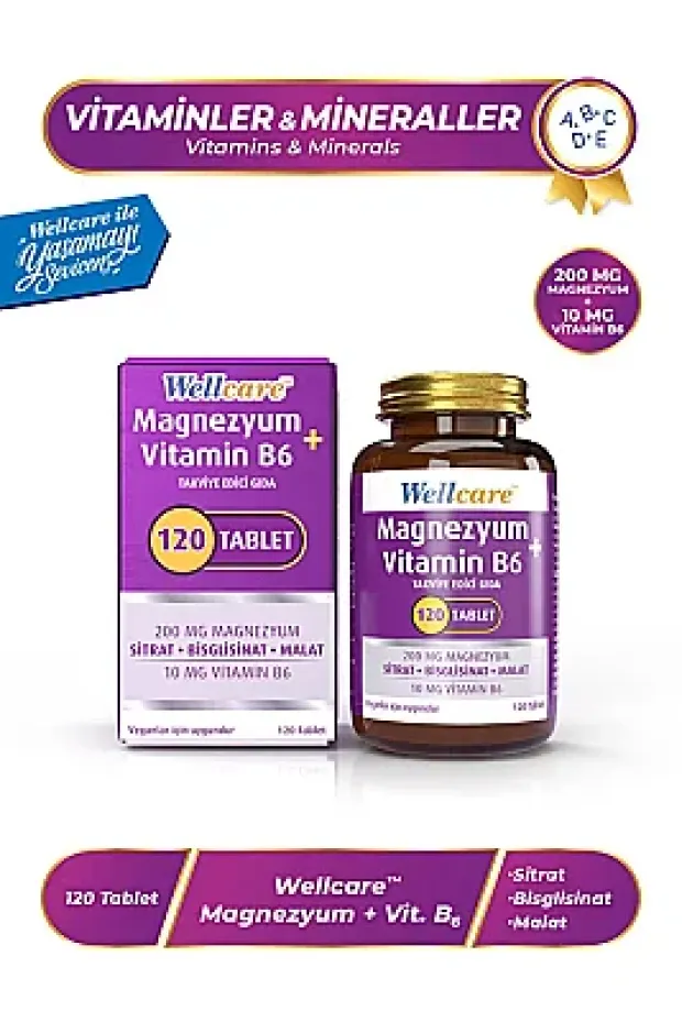 Wellcare Magnezyum B6 Vitamini 120 Tablet