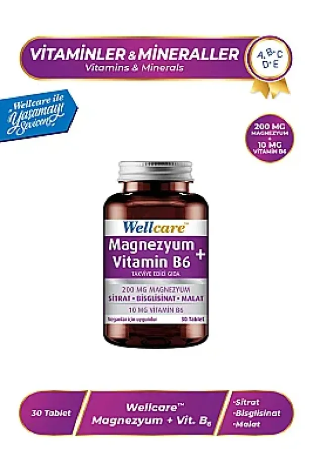 Wellcare Magnezyum B6 Vitamini 30 Tablet