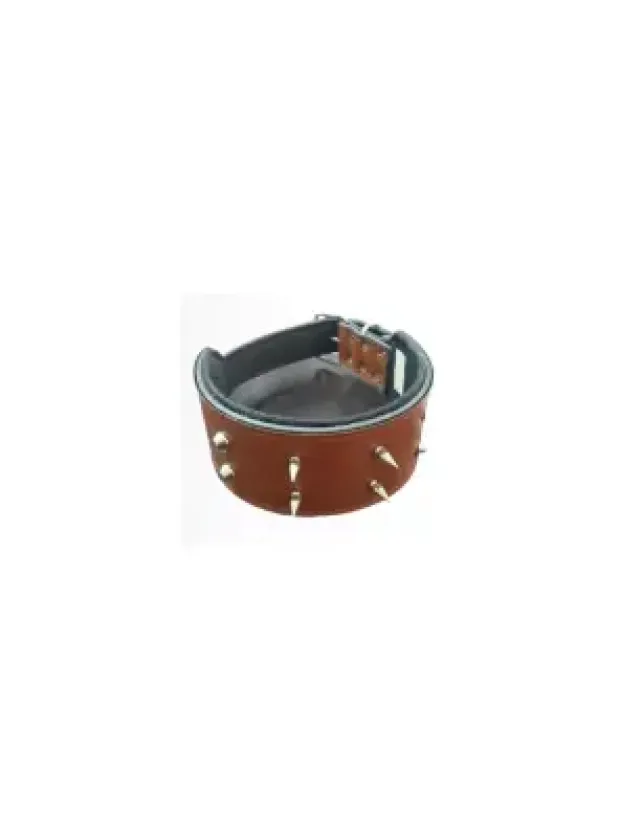 Köpek Çivili Boyun Tasması 8 Cm & Gezdirme