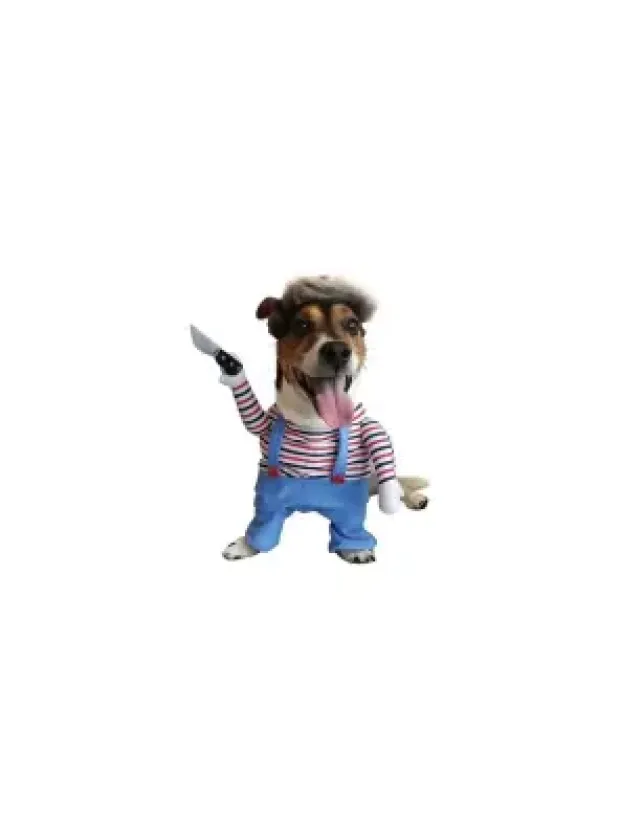 Kedi Köpek Bıçaklı Kostüm Kıyafet