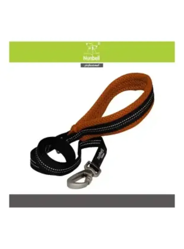 Nunbell Köpek Soft Gezdirme 2,5Cm