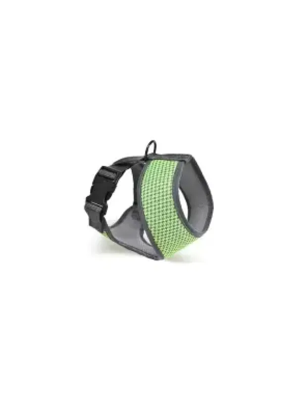 Zampa Finix Köpek Gövde Tasması Yeşil Medium 35x40-52 Cm
