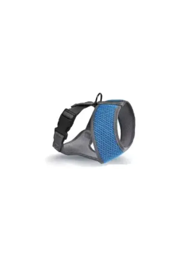 Zampa Finix Köpek Gövde Tasması Mavi Small 28x34-45 Cm