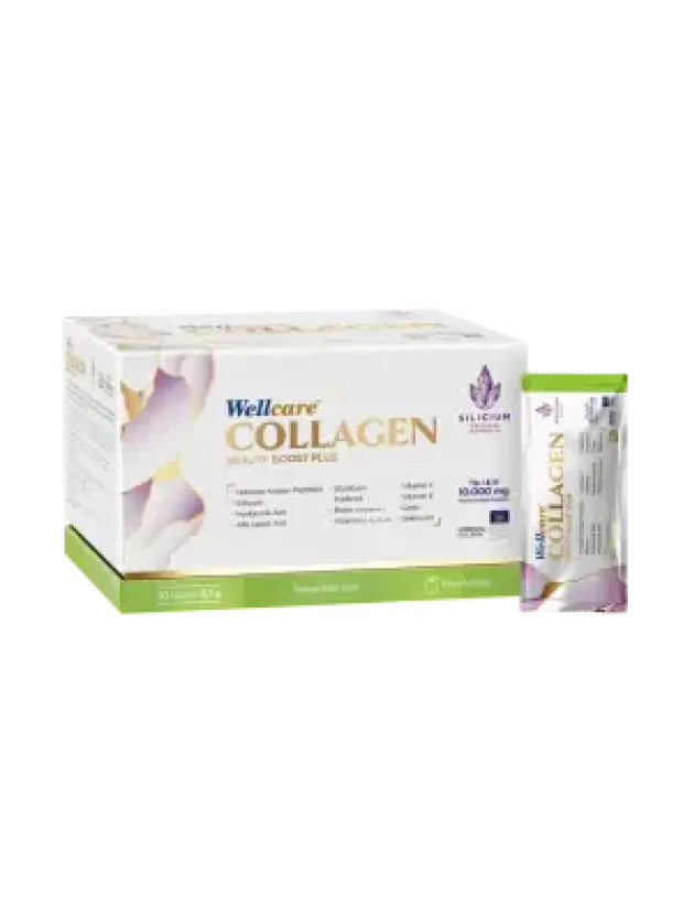 Wellcare Collagen Beauty Boost Plus Elma Aromalı 11,7gr x 30 Saşe