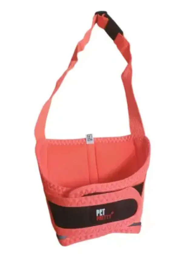 PETPRETTY AĞIZLIK (XL)