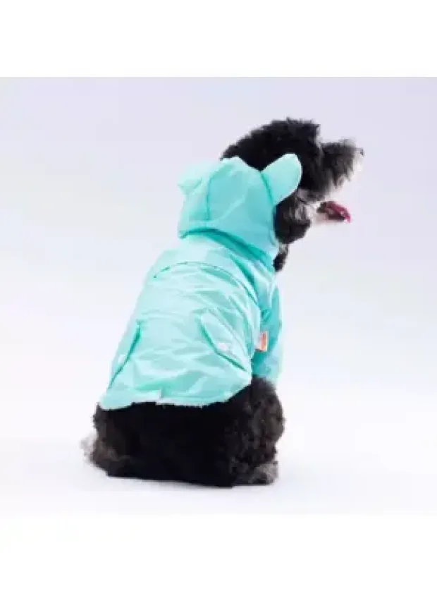 Paw Star 24504 Mint Sydney Yağmurluk