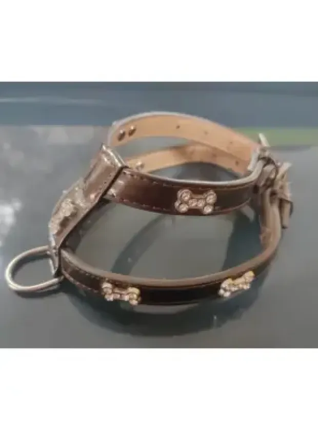 Pet Style Bel Tasması 1.5X35Cm